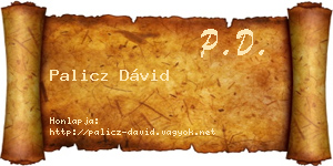 Palicz Dávid névjegykártya